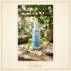 Bela Fragrance Spray