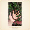 Black Brown Tulsi kanthi mala mix beads - view 2