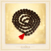 Kamal Gatta (Lotus Seed) Mala – 108 Beads