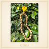 Radha Naam Tulsi Sumarni Mala 27+1 Beads