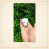 Shree Radha Night Bulb - view 2