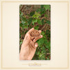 Shree Sitaram Small Kadamb Wood Naam seva - view 2