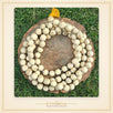 Tulsi Japmala 108+1 beads (16-17mm)