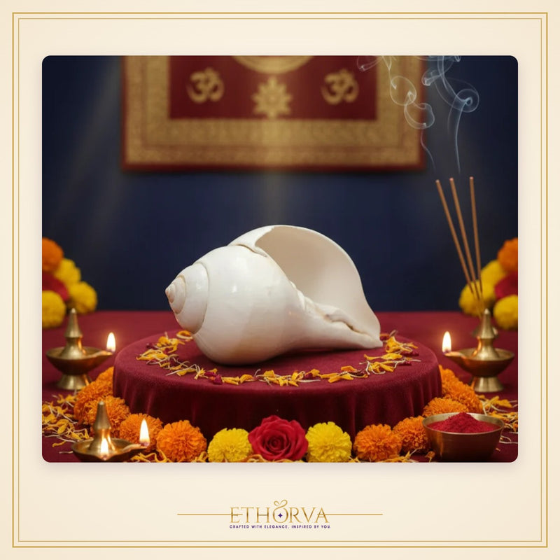 Vamavarti Blowing Shankh (5 Inch) – Natural Left-Turning Conch Shell for Puja, Aarti & Rituals